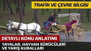 Yayalar, Hayvan Sürücüleri ve Yarışlar Hakkında Kurallar 